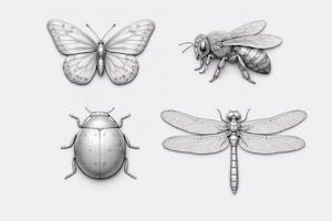 Symbolbild von Insekten